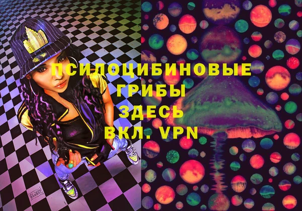 spice Армянск
